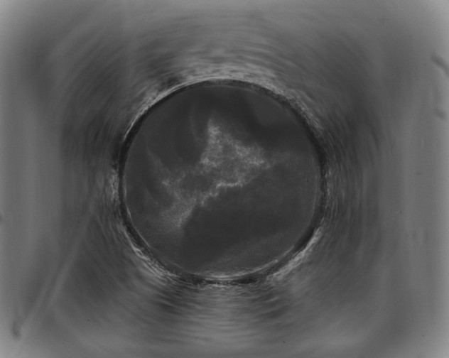 X0000097591505200802291206