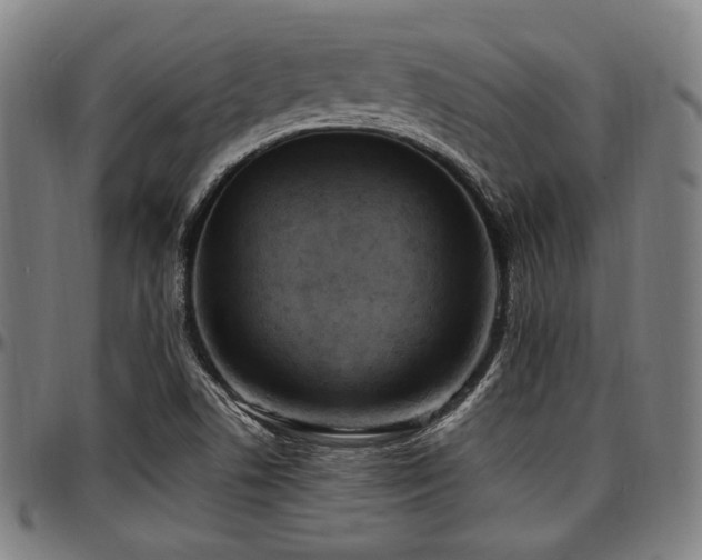 X0000097591506200802291206