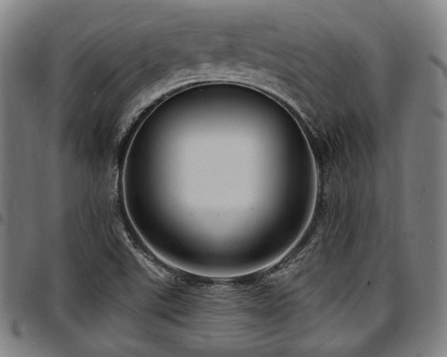 X0000097591507200802291206