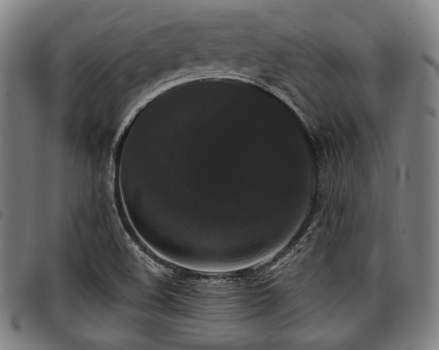 X0000097591508200802291206