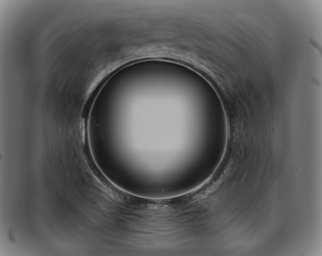 X0000097591509200802291206