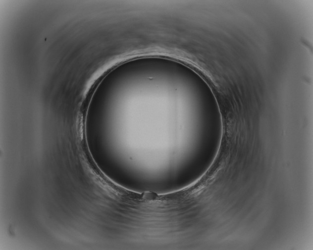 X0000097591510200802291206