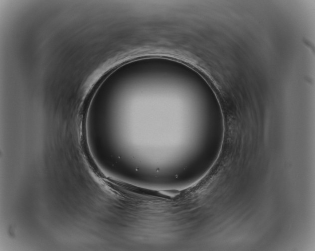 X0000097591511200802291206