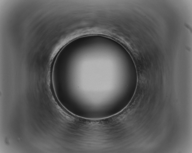 X0000097591512200802291206