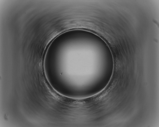 X0000097591513200802291206