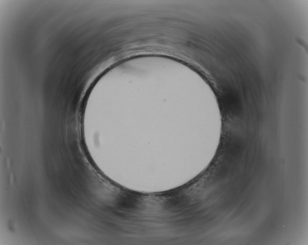 X0000097591514200802291206