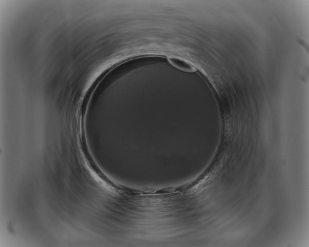 X0000097591515200802291206