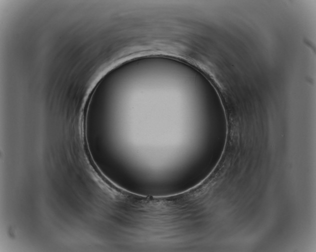 X0000097591516200802291206