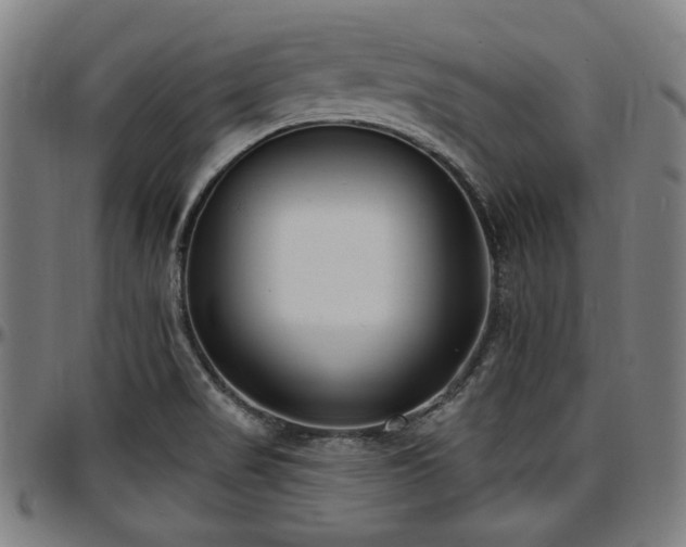 X0000097591517200802291206