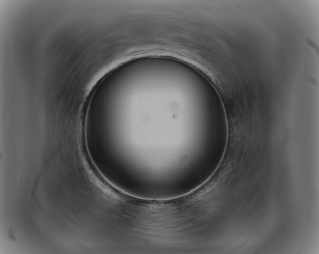X0000097591518200802291206