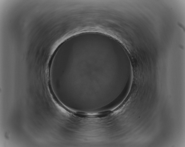 X0000097591519200802291206
