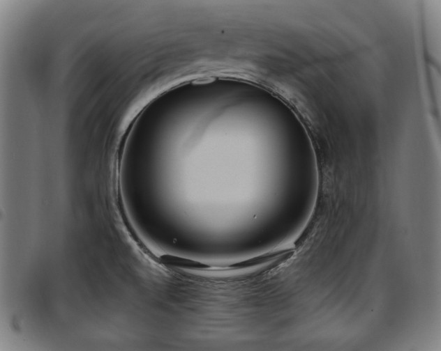 X0000097591520200802291206