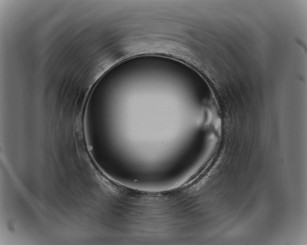 X0000097591521200802291206