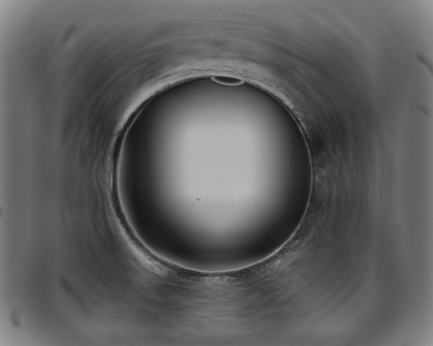 X0000097591523200802291206