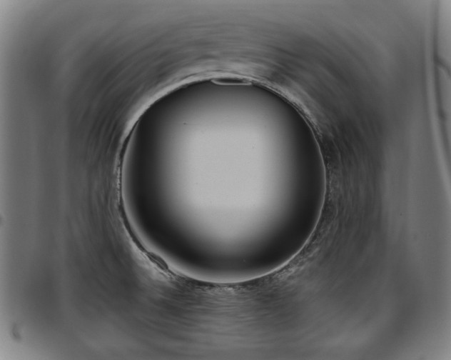 X0000097591524200802291206
