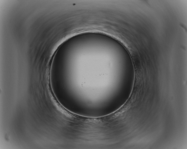 X0000097591526200802291206