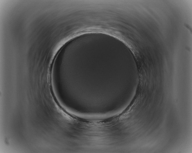 X0000097591527200802291206