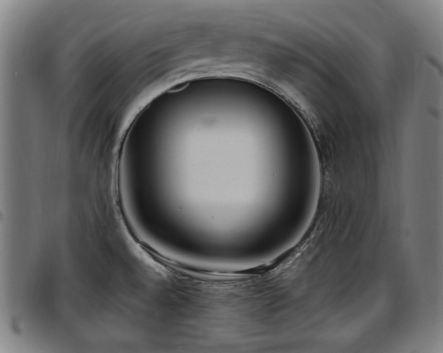 X0000097591528200802291206