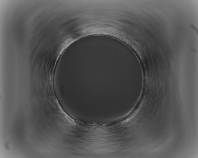 X0000097591529200802291206