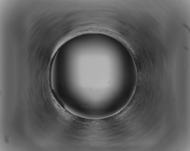 X0000097591530200802291207