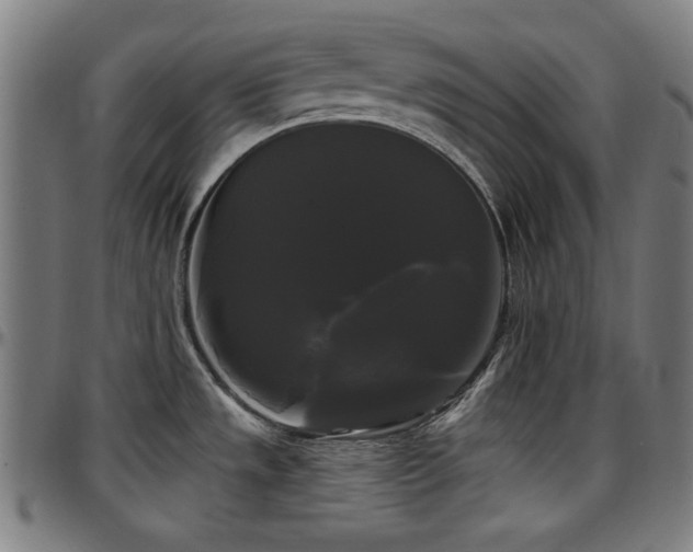 X0000097591533200802291207