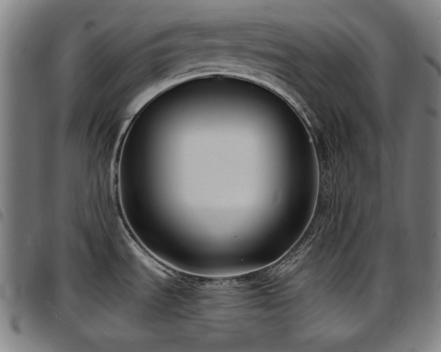 X0000097591535200802291207