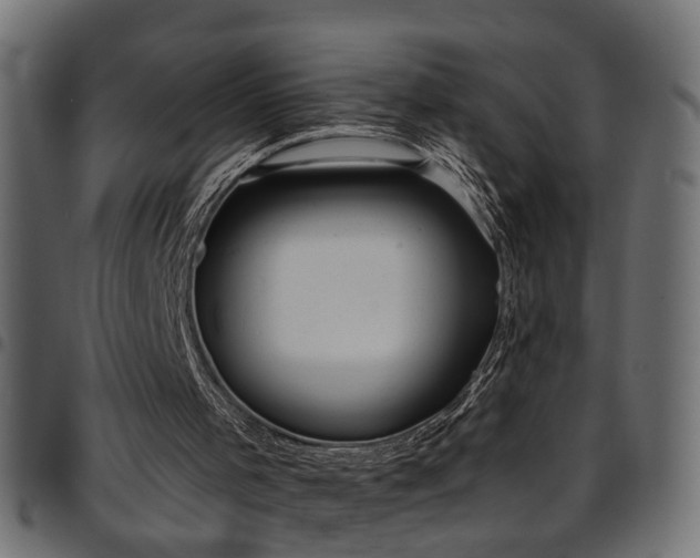 X0000097590001200803071331