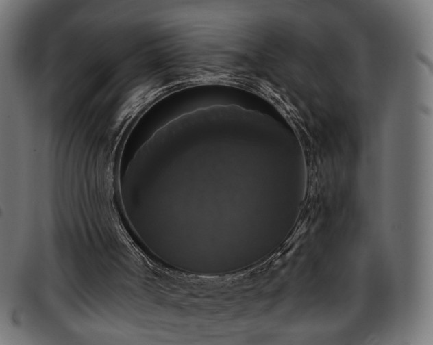 X0000097590002200803071331