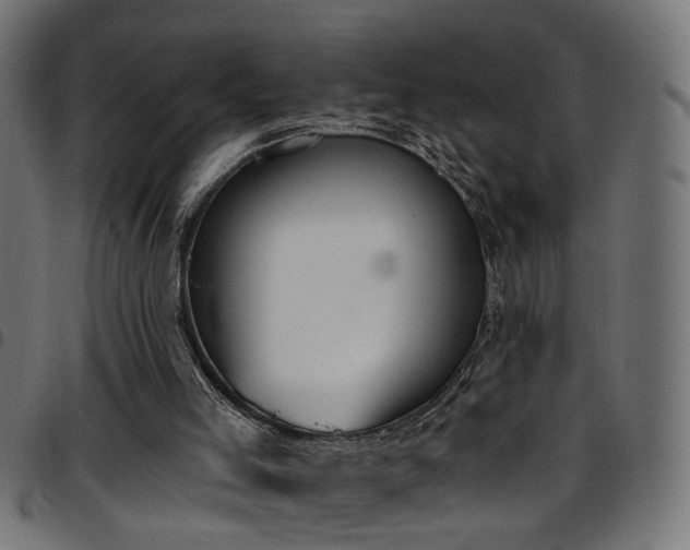 X0000097590005200803071331