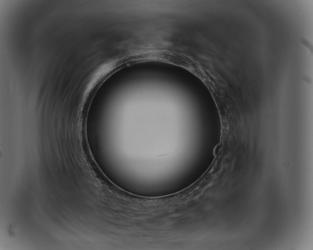 X0000097590006200803071331