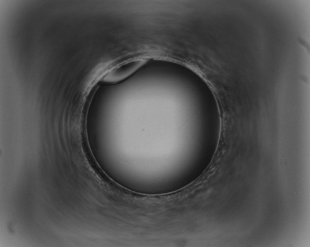 X0000097590007200803071331