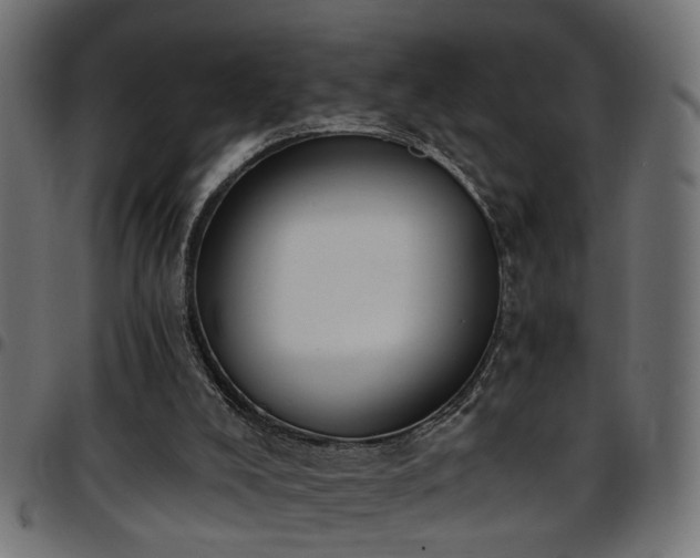 X0000097590008200803071331