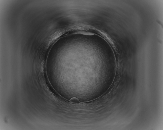 X0000097590010200803071331