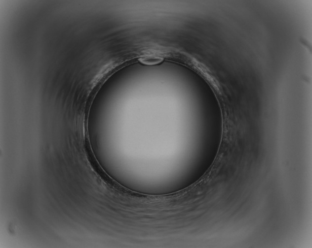 X0000097590011200803071331