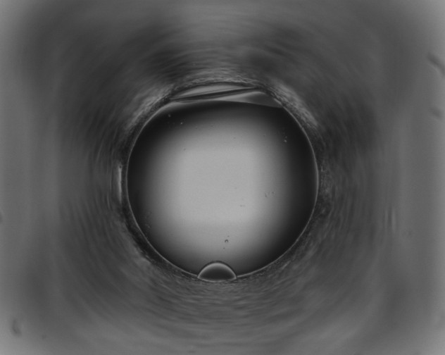 X0000097590014200803071331