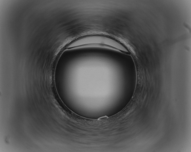 X0000097590015200803071331