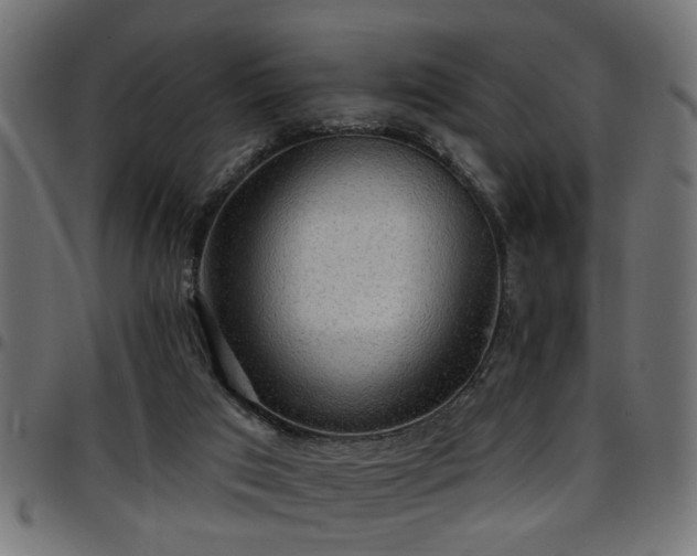 X0000097590017200803071331