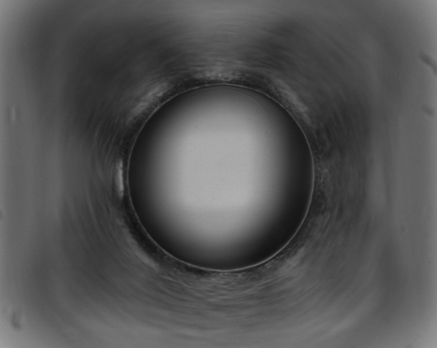 X0000097590020200803071331