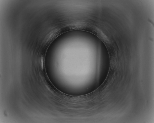 X0000097590022200803071331