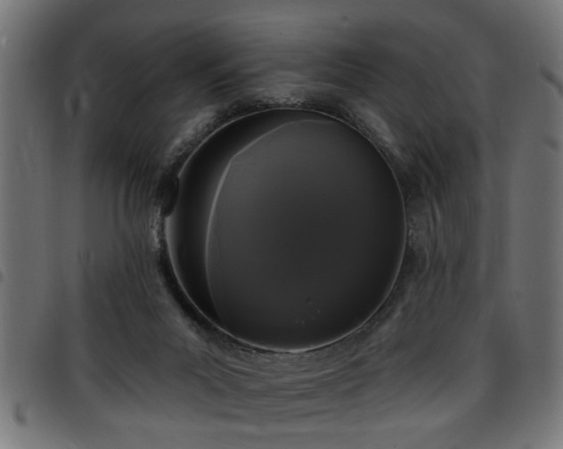 X0000097590023200803071331