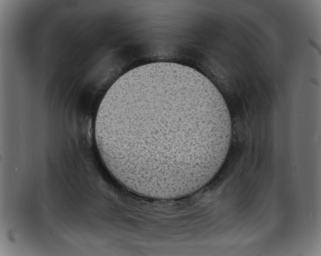 X0000097590024200803071331