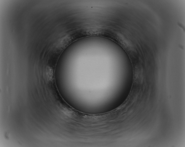 X0000097590025200803071331