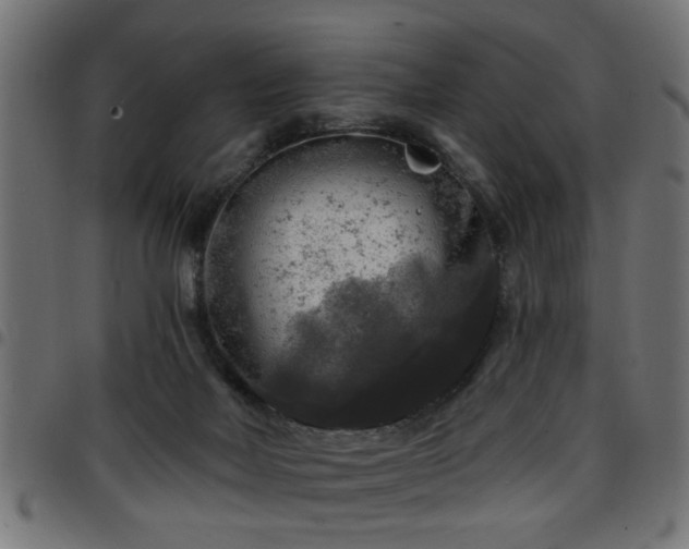 X0000097590026200803071331