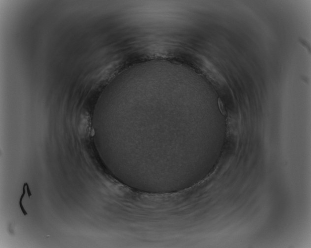 X0000097590029200803071331