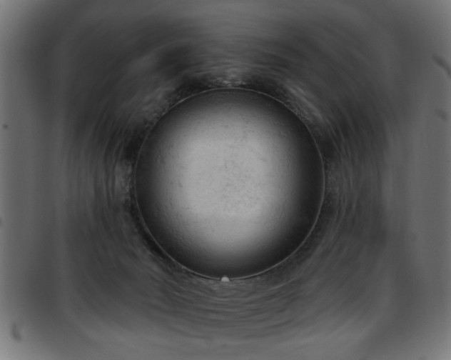 X0000097590030200803071331