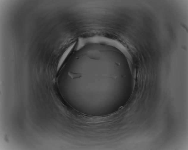 X0000097590031200803071331