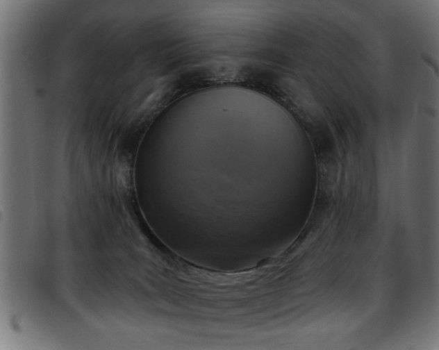 X0000097590035200803071331