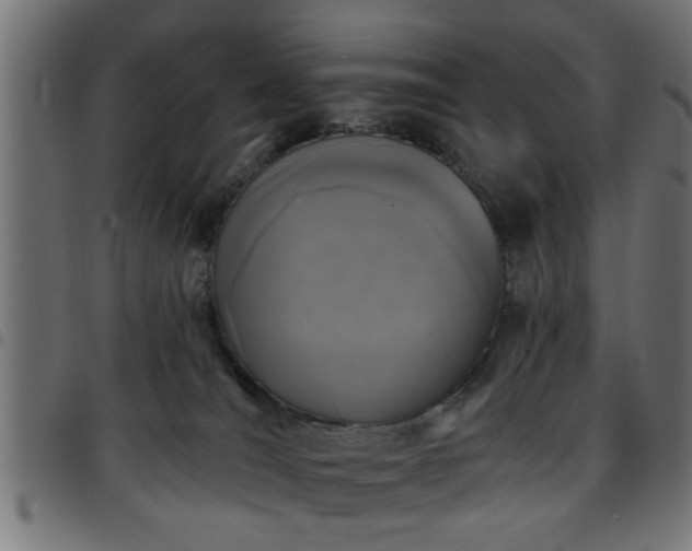 X0000097590036200803071331