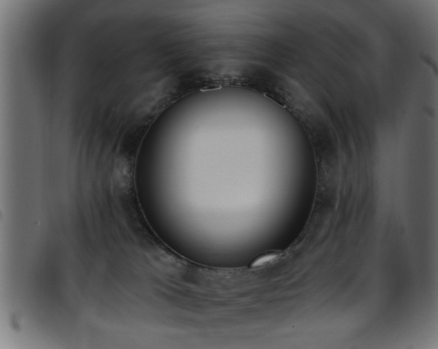 X0000097590037200803071331