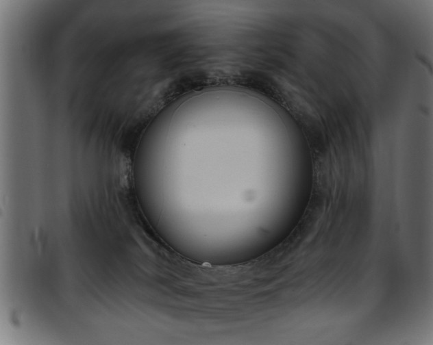 X0000097590038200803071331